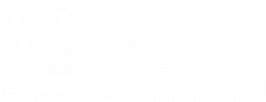 LAN1 Logo 2021